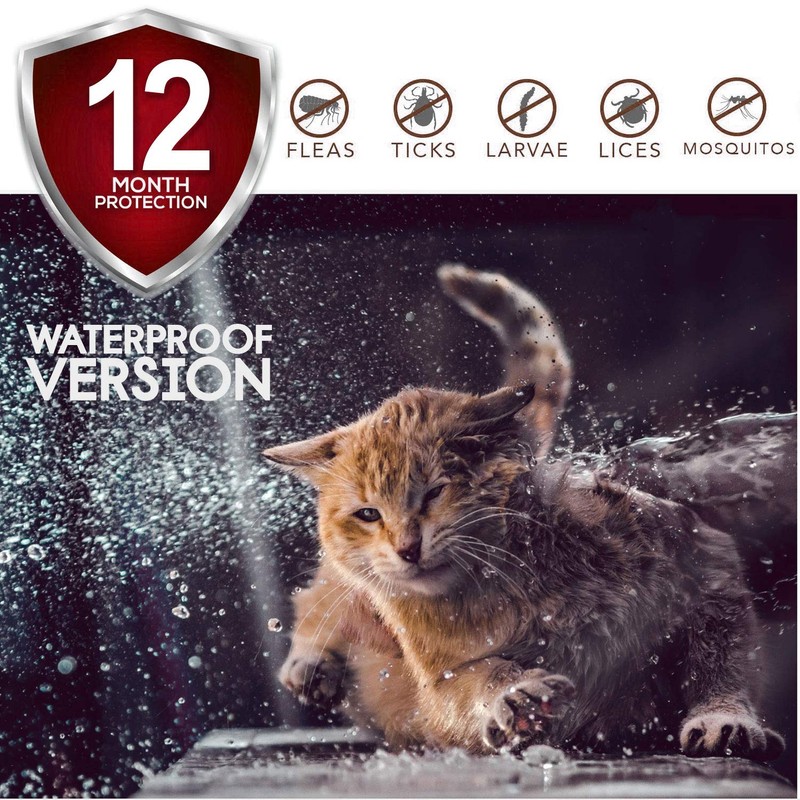 HDP Latex Dog Squeaker Bone toy Size:Small/Med Packs:Pack of 3