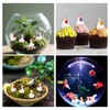 Lyreh 30pcs Mini Resin Gooses, Cute and Lightweight Miniature Resin