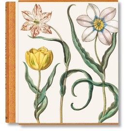 Basilius Besler The Garden at Eichstätt Set: Florilegum / Garden at Eichstatt / Book of Plants (1-3)