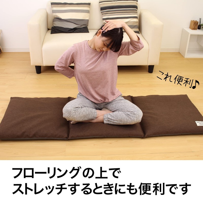 Sanbelm L11410 Zabuton Storage Bag, Brown