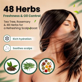 Moist Diane Moist Diane Anti Danduff Shampoo for Women & Men, Itchy Scalp Shampoo for Oily Hair by Keratin, Tea Tree, Mint, Rosemary& Argan Oil, Silicone & Paraben Free from Japan 15.2 Fl Oz EXTRA FRESH& HYDRATE