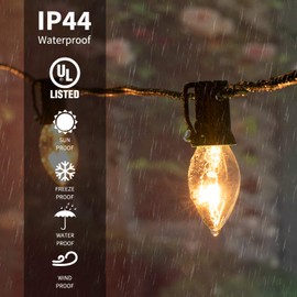 Vintage Christmas Lights, String Lights for Christmas Holiday Season Stranger Things Party Indoor Outdoor Garage Garden Patio Backyard Cafe Decoration, Green Wire (25FT, Clear)