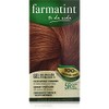 Famatint Gel 5R Light Chestnut Copper Brown