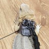 3 Pack Bearded Dragon Harness and Leash Set - Adjustable