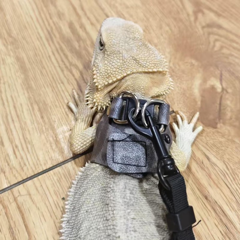 3 Pack Bearded Dragon Harness and Leash Set - Adjustable