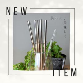 HoPeople My Straws Stainless Steel Straws Set of 5 (6mm) Brush Straws Stainless Steel