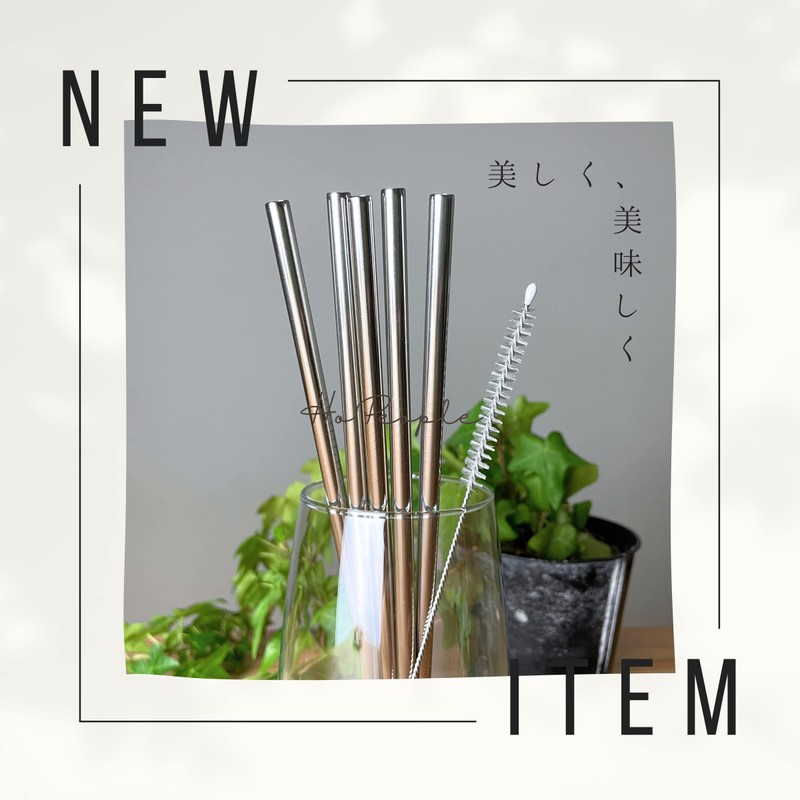 HoPeople My Straws Stainless Steel Straws Set of 5 (6mm)