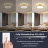 Peblto Dimmable Gold LED Ceiling Light, 2700K-6000K 5CCT in One
