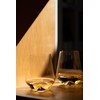 Sempli Monti Bianco Stemless Wine Glasses Set of 2 -