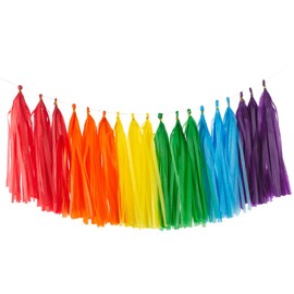 Rainbow Tissue Paper Tassels Multicolor Party Tassel Garland Banner Decorations, DIY Kits,30 PCS