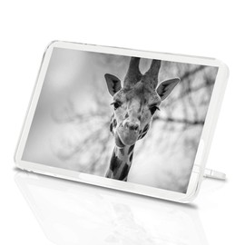 1 x Fridge Magnet - Pretty Giraffe Wildlife Africa African #35102