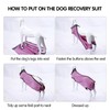 Dog Recovery Suit Abdominal Wound Protector Puppy Medical Surgical Clothes