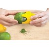 Talisman Designs Citrus Zester & Reamer | Orange Lemon &