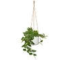 Scheurich Cottage Cotton Hanging Basket Length 56 cm & Ceramic,