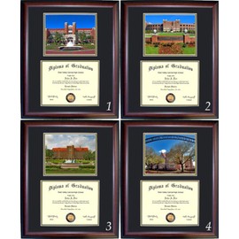 Florida State Diploma Frame - Photo Option #3 - Walnut Frame