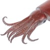 NOLITOY Kensaki Squid Model PVC High Definition Squid Figure for