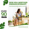 MoriVeda Moringa Capsules 600 mg I Vegan Natural Product in