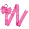 Wrapables Hair Clip and Hair Bow Holder, Hot Pink Polka