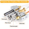 Criditpid 446-511A Pilot Assembly Propane Gas (LP) for Heat-N-Glo, Royal