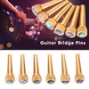 HilBeliFU 6Pcs Guitar Bridge Pins, 3cm Brass Guitar Pegs Set,