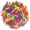 100 Mini Wooden pegs (Multi)
