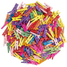 100 Mini Wooden pegs (Multi)