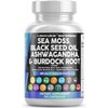 Clean Nutraceuticals Sea Moss Black Seed Oil Ashwagandha Turmeric Bladderwrack