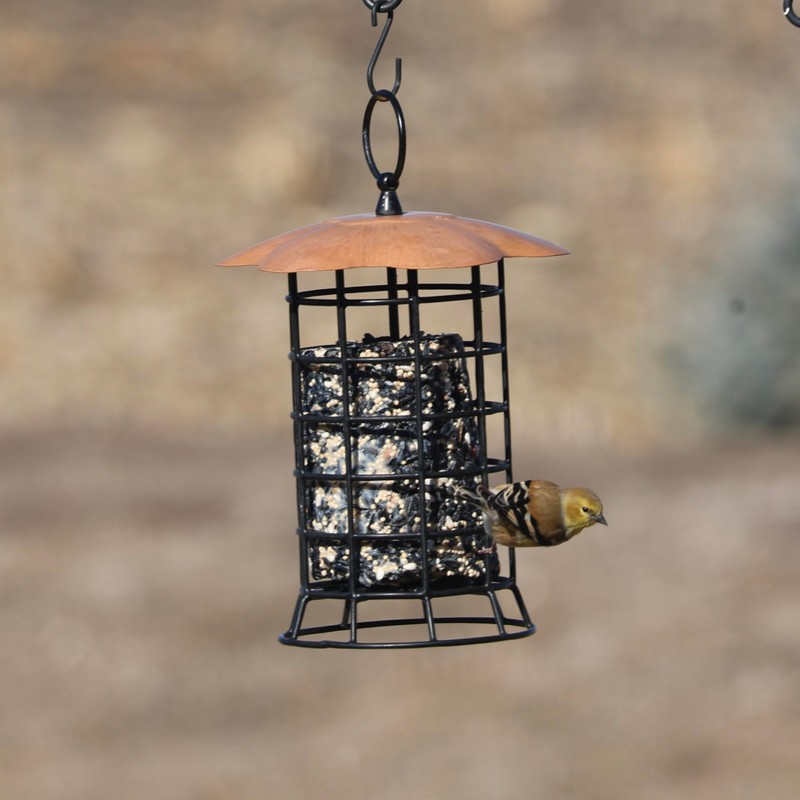 Songbird Essentials Copper Roof Suet Log Feeder