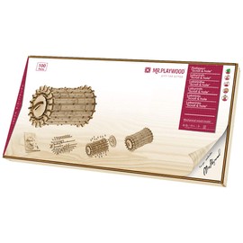 Mr.PLAYWOOD Labyrinth Scroll & Hole 3D Puzzle