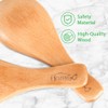 HANSGO Small Wooden Spoon, 10PCS 3 inches Ice Cream Salt