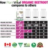 Plantvital PlantVital Organic Beet Root - Made in Canada -