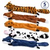 5 pieces No-Stuffing Dog Squeaky Toy for Interactive Play –