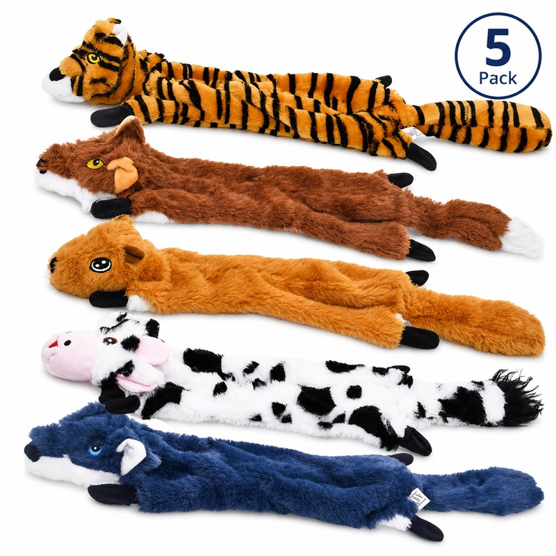5 pieces No-Stuffing Dog Squeaky Toy for Interactive Play –