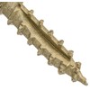 Jake Sales #17 x 10" Construction Lag Screw Exterior Coated