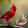 Red Cardinal Gifts Cardinal Necklaces for Women Sterling Silver Cardinal
