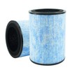 2 Pack AP300 3-in-1 H13 True Replacement Filters Compatible with