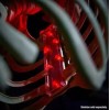 Home Accents Holiday 12 Ft Skeleton LED Home Accents Holiday