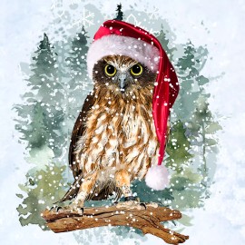 Sign Me Up By Diana Christmas Owl Sign or Door Hanger