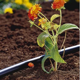 GARDENA Micro-Drip System Supply Pipe: Flexible supply pipe, 4.6 mm (3/16"), can be laid above or below ground, UV-stabilised, 15 m (1350-20)