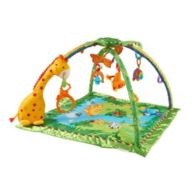 Fisher-Price Rainforest Melodies and Lights Deluxe Gym                                                                                                