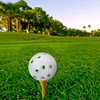 Forgetek Golf Balls Practice Set of 50 Plastic Hollow Balls