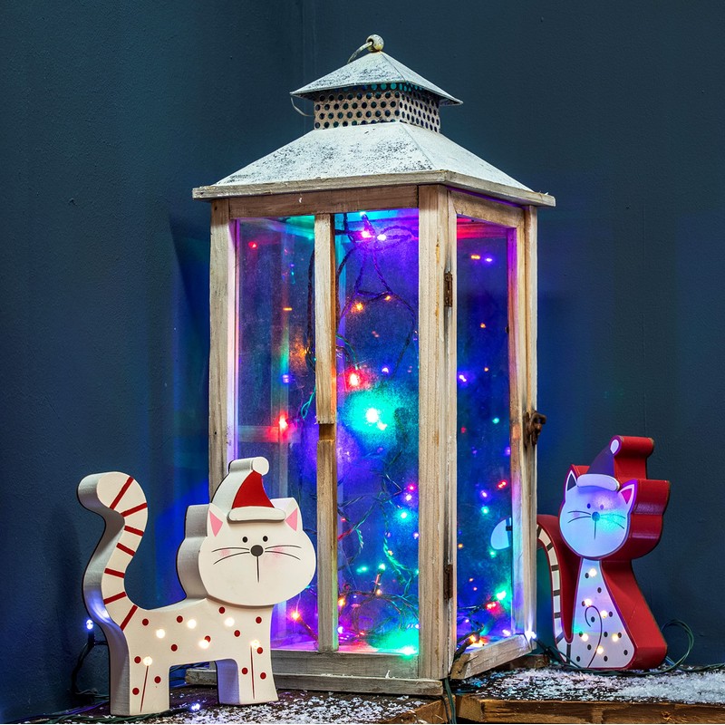 Hellum 560473 Indoor 40lamps LED Transparent - Decoration Lighting (40
