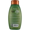Aveeno Shampoo Fresh Greens Blend 12 Ounce (Thicken) (354ml) (3
