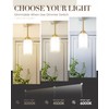 TENGXIN Modern Pendant Light,Brushed Gold Modern Pendant Light for Kitchen