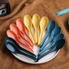 Evanda Soup Spoon, ECO Friendly Dinner Spoon,Made of Food Grade