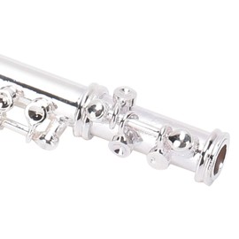 Flute Keyring Gift, Practical Flute Keyring, Beautiful, Not Easy to Fade, for Girls, Family or Yourself, Metal