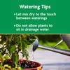 Miracle-Gro 2 Pack Potting Soil Mix for Container Plants, Flowers,