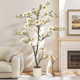 6FT Faux Magnolia Plants Artificial Flower Trees Fake Plants For Yard Patio Home Office Arrangement Decor Indoor Outdoor Artificial Magnolia Tree Inc. 180 Realisc Flowers Vivid Leaves Mosses White Pot