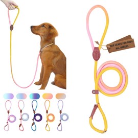 Bee N Buu Dog Leash - Slip Leads for Dogs, 5 FT Pet Training Leash, Strong Heavy Duty Braided No Pull Loop Rope Training Lead Leashes for Small, Medium, Large Breeds, Pink & Yellow