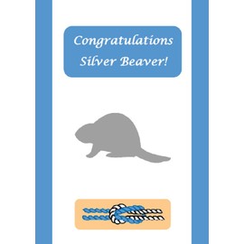 Aquinas Scout Cards Silver Beaver Award Congratulations Card
